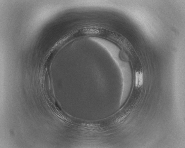 X0000116440723200912221524