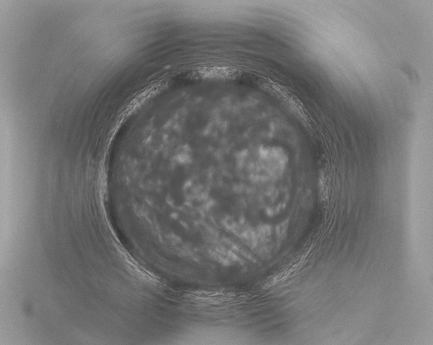 X0000116440725200912221524
