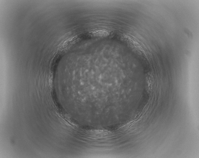 X0000116440745200912221524