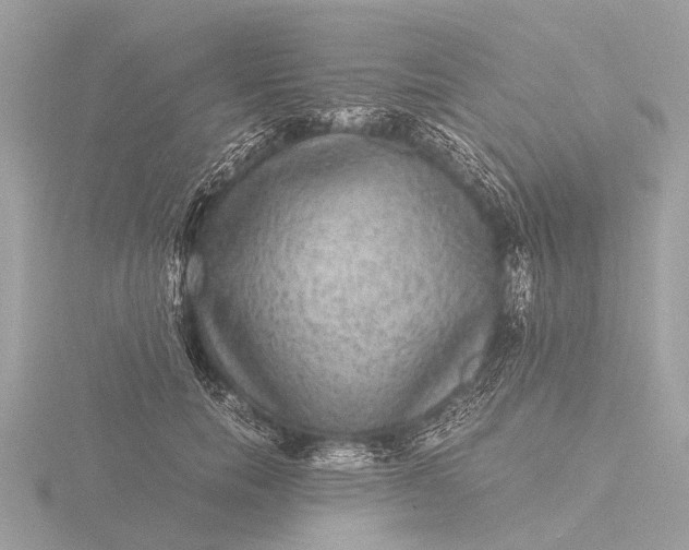 X0000116440750200912221524