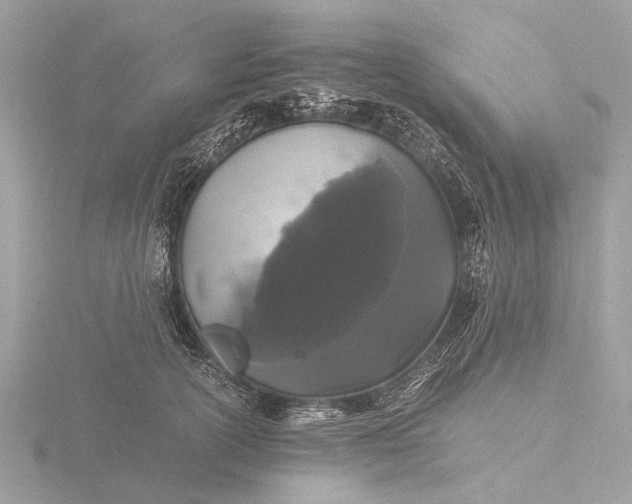 X0000116440754200912221524