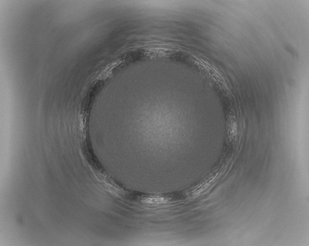 X0000116440759200912221524