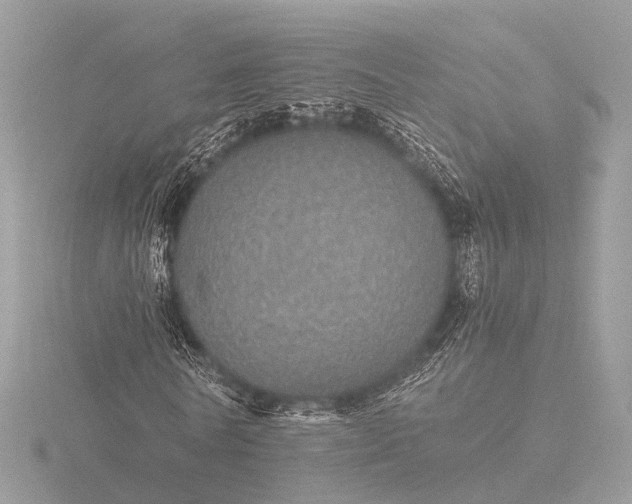 X0000116440770200912221524
