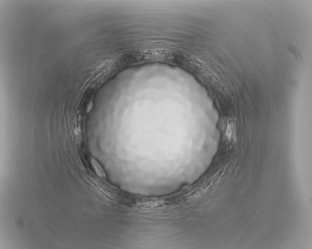 X0000116440771200912221524