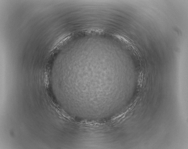 X0000116440774200912221524