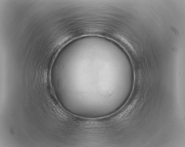 X0000116440777200912221524