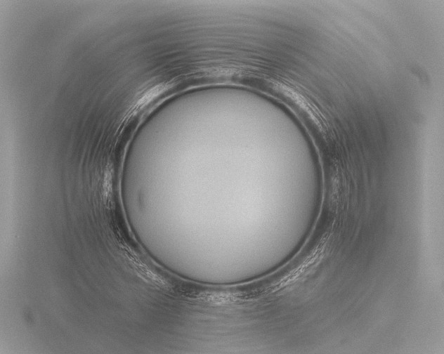 X0000116440778200912221524