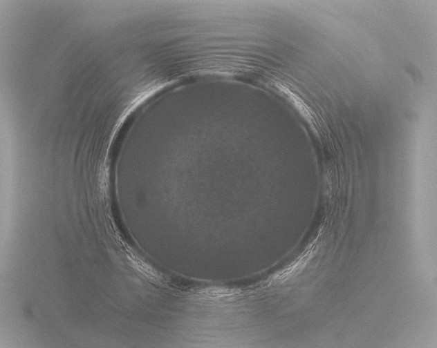 X0000116440779200912221524
