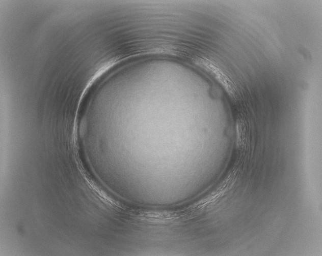 X0000116440780200912221524