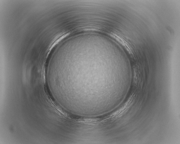 X0000116440782200912221524