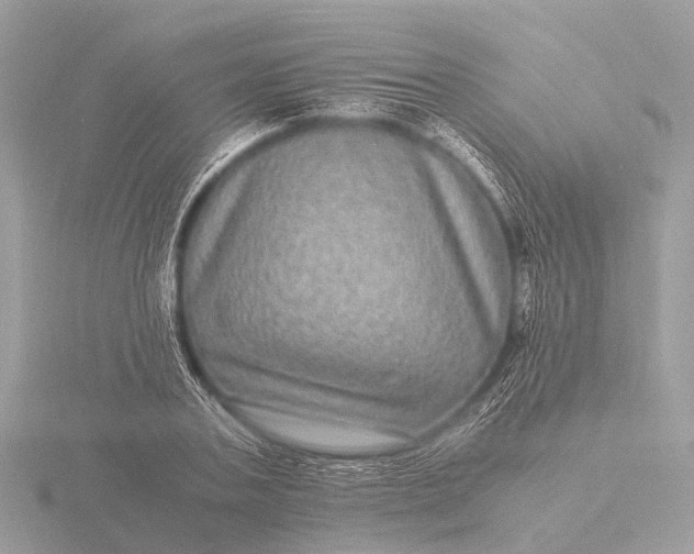 X0000116440787200912221524