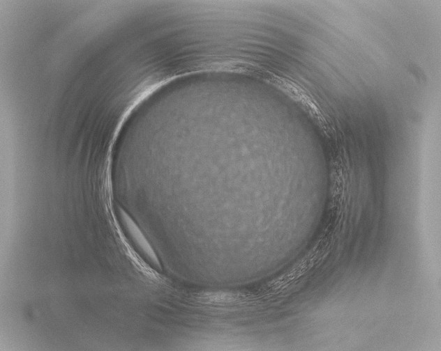 X0000116440792200912221524