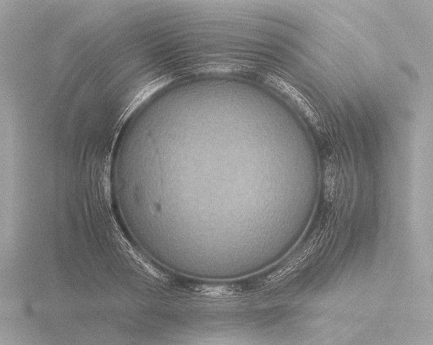 X0000116440794200912221524