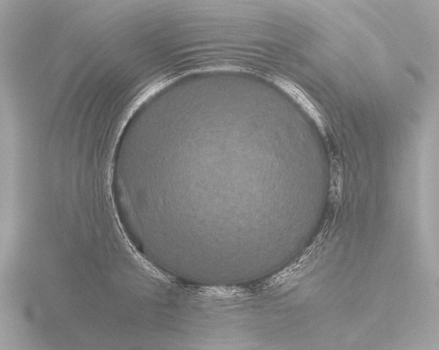 X0000116440805200912221523