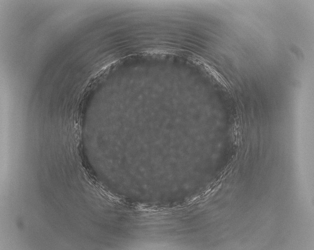 X0000116440821200912221522