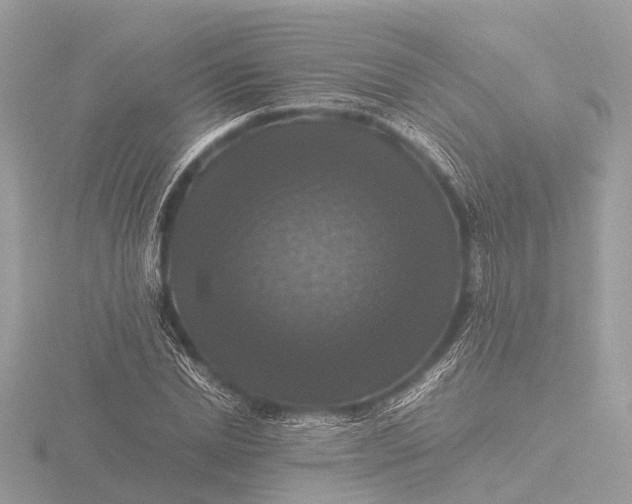 X0000116440830200912221523