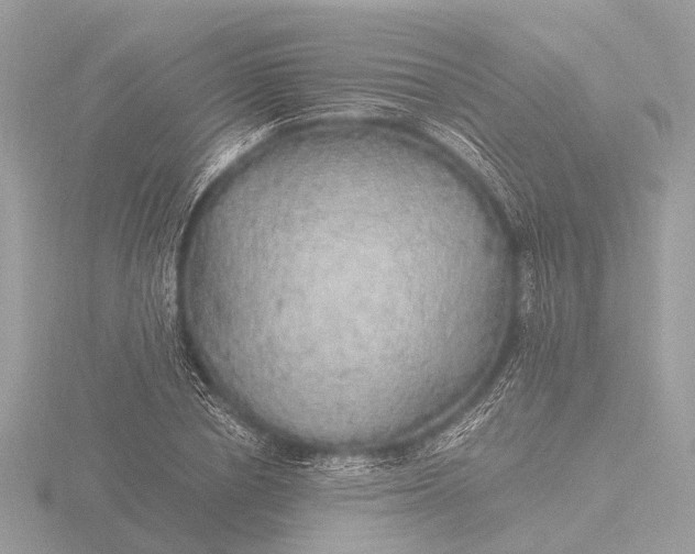 X0000116440834200912221523