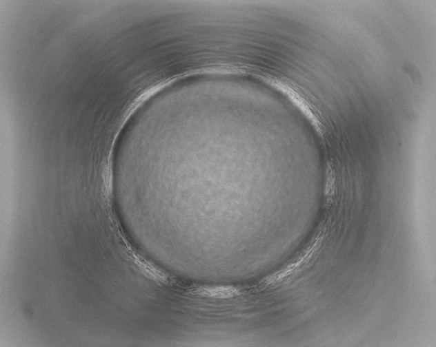 X0000116440837200912221523