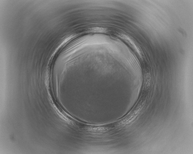 X0000116440851200912221523