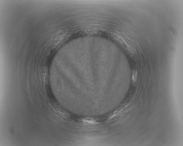 X0000116440867200912221522