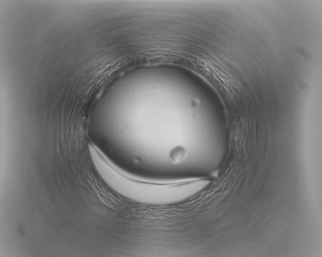 X0000116440868200912221522
