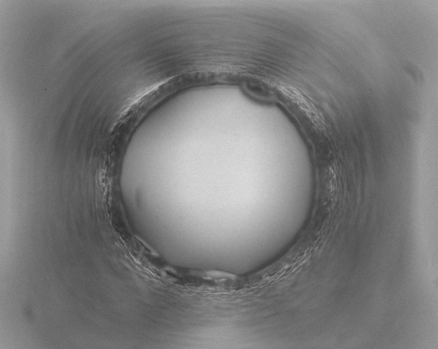 X0000116440872200912221522