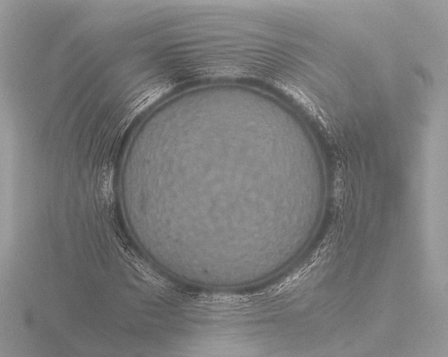 X0000116440873200912221522
