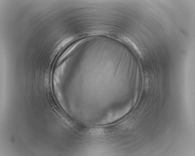 X0000116440882200912221522