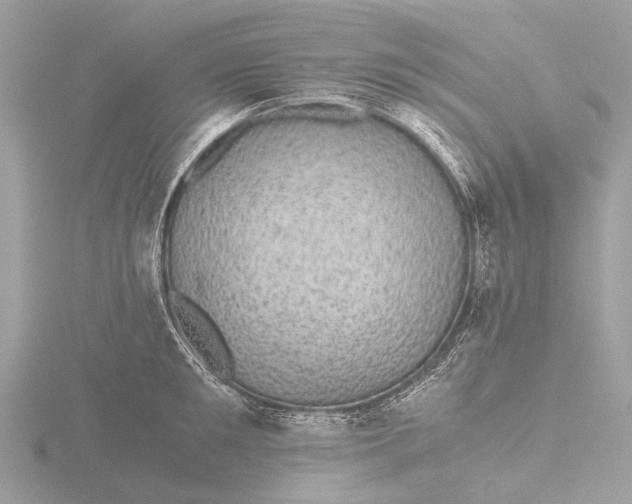 X0000116440901200912221522