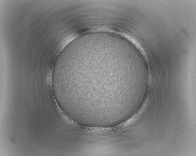 X0000116440905200912221522