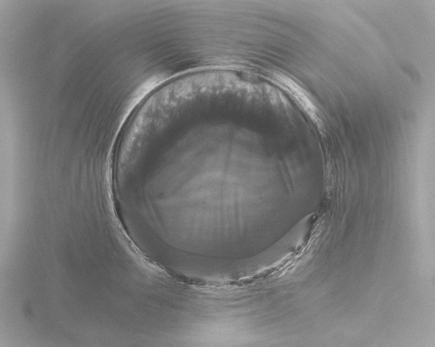 X0000116440907200912221522