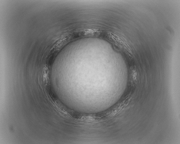 X0000116440914200912221521