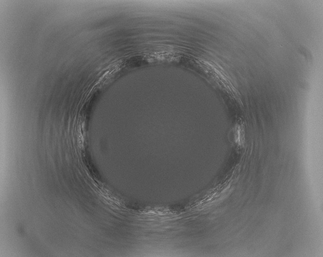 X0000116440915200912221521