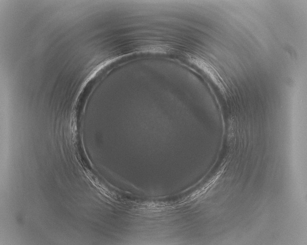 X0000116440923200912221521