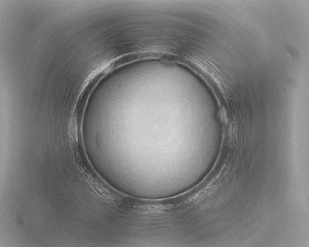 X0000116440925200912221521