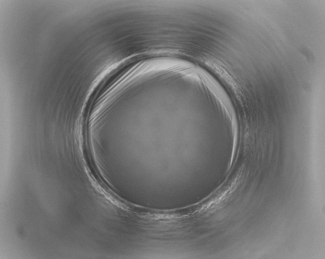 X0000116440941200912221522