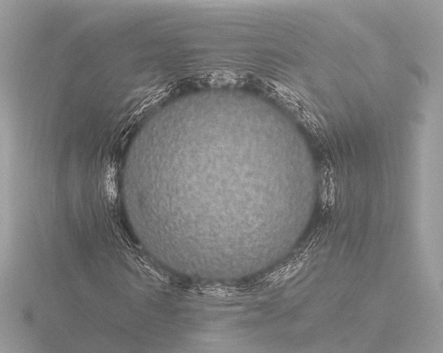 X0000116440962200912221521