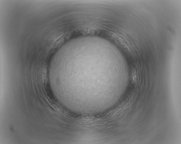 X0000116440964200912221521