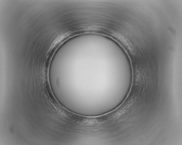 X0000116440978200912221521