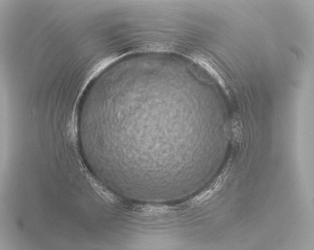 X0000116440981200912221521