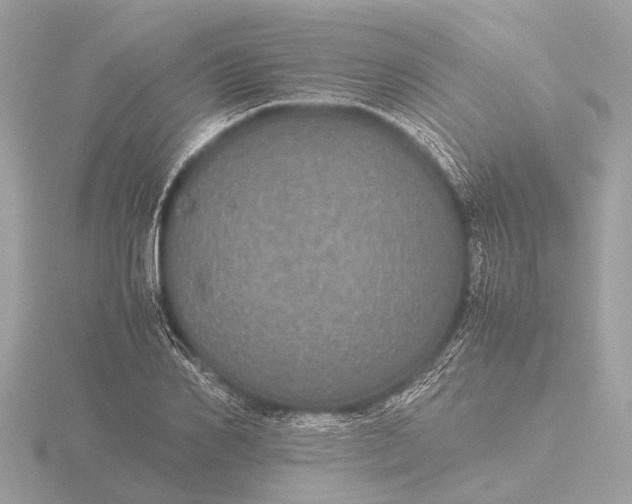 X0000116440982200912221521