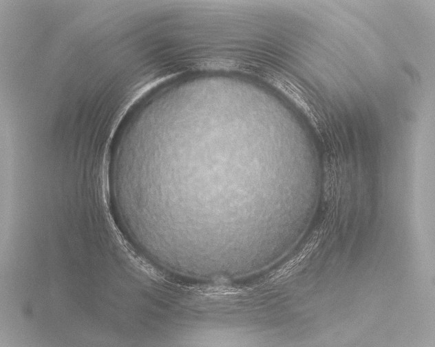 X0000116440984200912221521