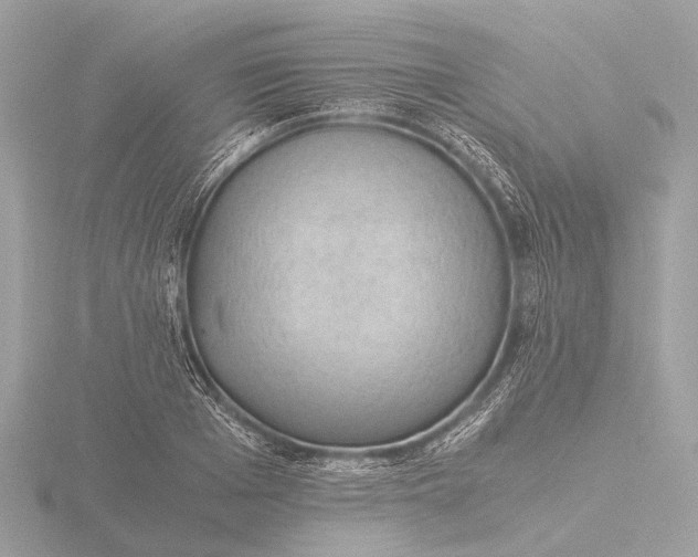 X0000116440985200912221521