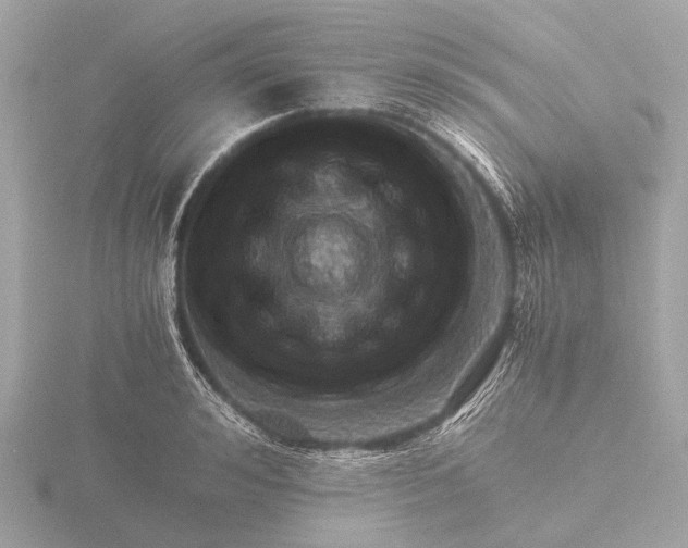 X0000116440992200912221521