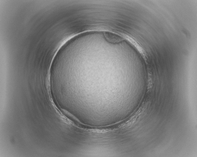 X0000116440996200912221521
