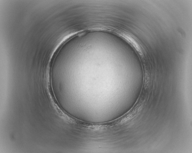 X0000116441000200912221521