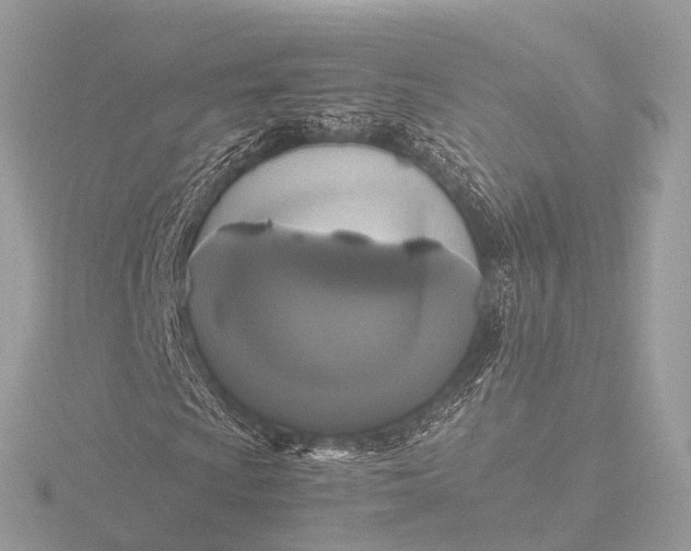 X0000116441009200912221520