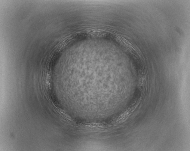 X0000116441010200912221520