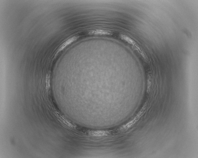 X0000116441017200912221520