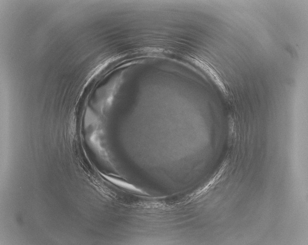 X0000116441023200912221520